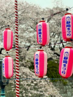 第70回静岡まつり開催中❗️
#呉服町名店街
#静岡まつり